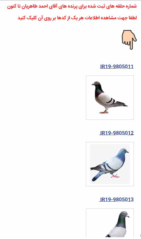 کد اختصاصی پرنده ها