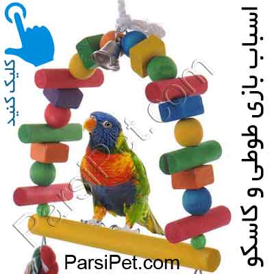 خرید لوازم بازی طوطی و کاسکو