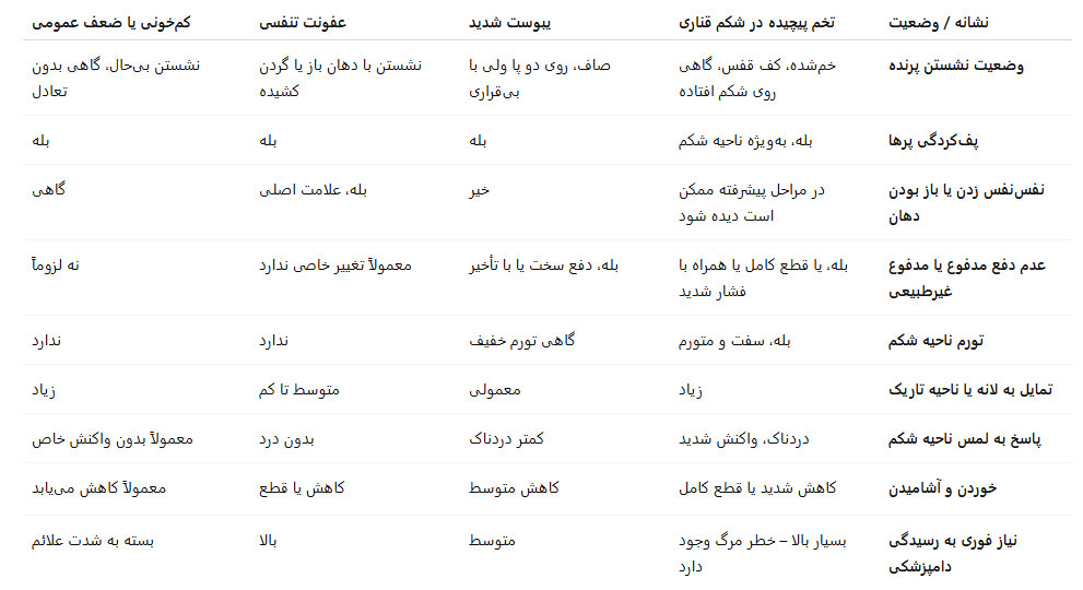 پيچيدن تخم در شكم قناری