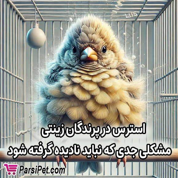 استرس در پرنده